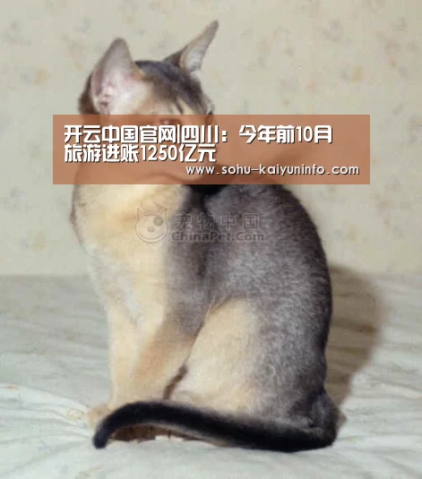 开云中国官网|四川:今年前10月 旅游进账1250亿元(图2) 开云综合服务