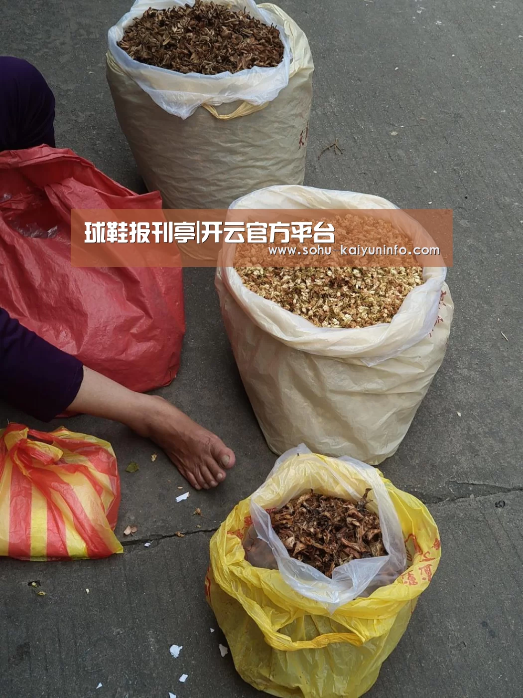 开云官网