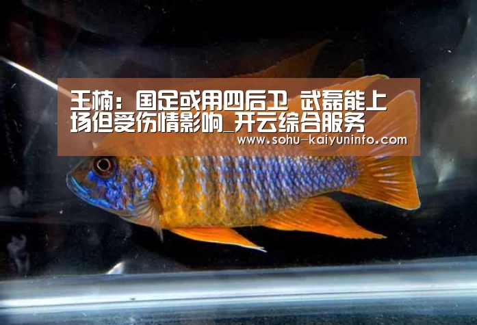 王楠:国足或用四后卫 武磊能上场但受伤情影响_开云综合服务(图1) 开云中国官网