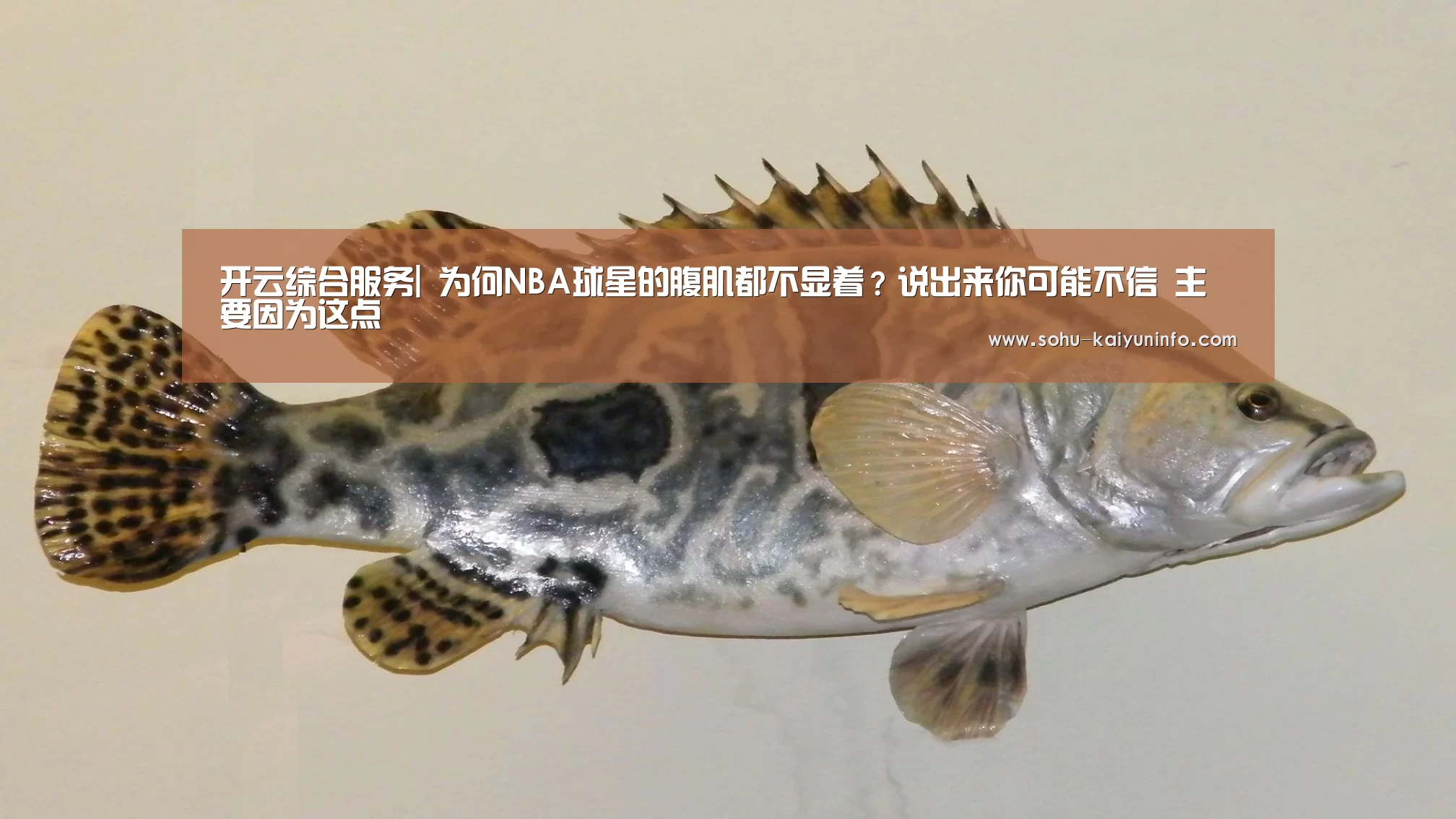 开云综合服务