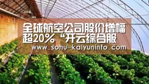 全球航空公司股价增幅超20%“开云综合服务”(图2) 开云综合服务